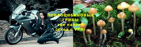 спиды Кодинск